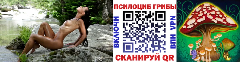 mega ONION  купить  цена  Звенигово  Псилоцибиновые грибы Psilocybe 